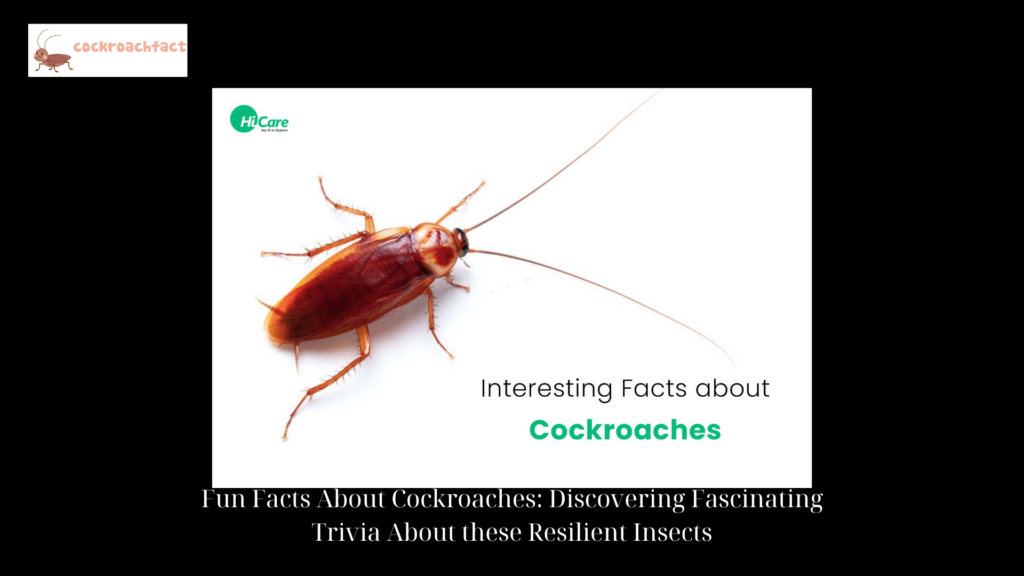 Fun Facts About Cockroaches Discovering Fascinating Trivia About these Resilient Insects